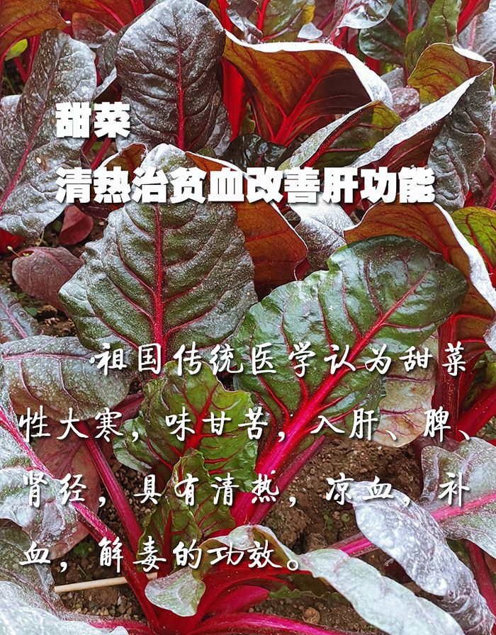 00-000.jpg