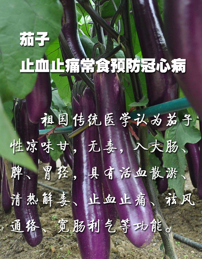 00-000.jpg