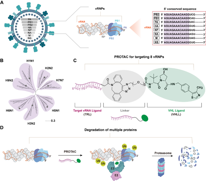 1765463344187978.jpg 000.jpg