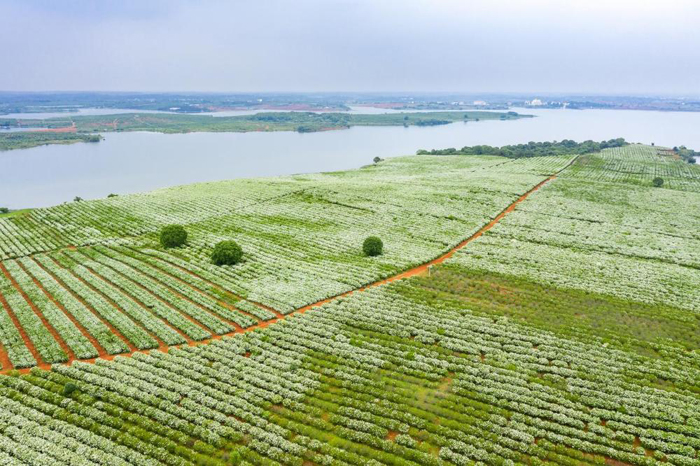 1765810058883802.jpeg 20251215b053b1127e924c4fa9ac030d23769578_2025121521ca0f6675a241518148389d6a2fa3f6.jpeg