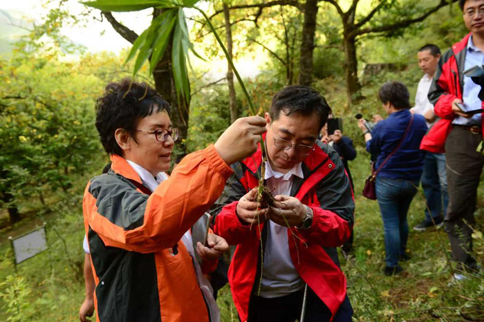 1766835713526401.jpg 20251227d8ef8d017ae24abcbf1778edee50989d_20251227c0758cb15a814b64a9e2ab350c50ecdd.jpg