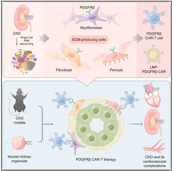 1767174104710177.jpg 20251231b37a3a461d4a439091ba7e31e515f903_8d04d26e16a444ccb2fd177afa8f6aff.jpg